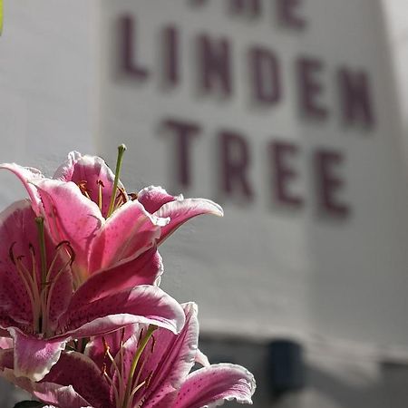 Linden Tree Bed & Breakfast Gloucester Exterior foto