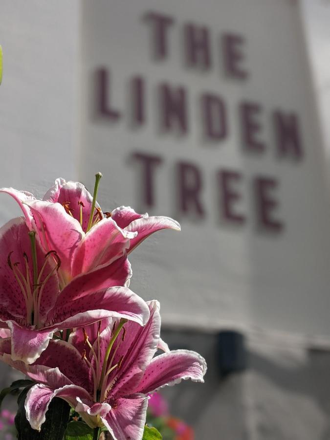 Linden Tree Bed & Breakfast Gloucester Exterior foto
